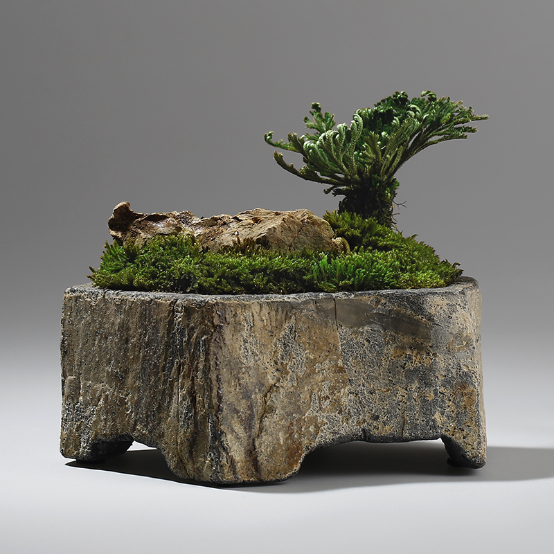 Desk Setup Plant - Basalt Natural Stone Flower Pot Handcrafted