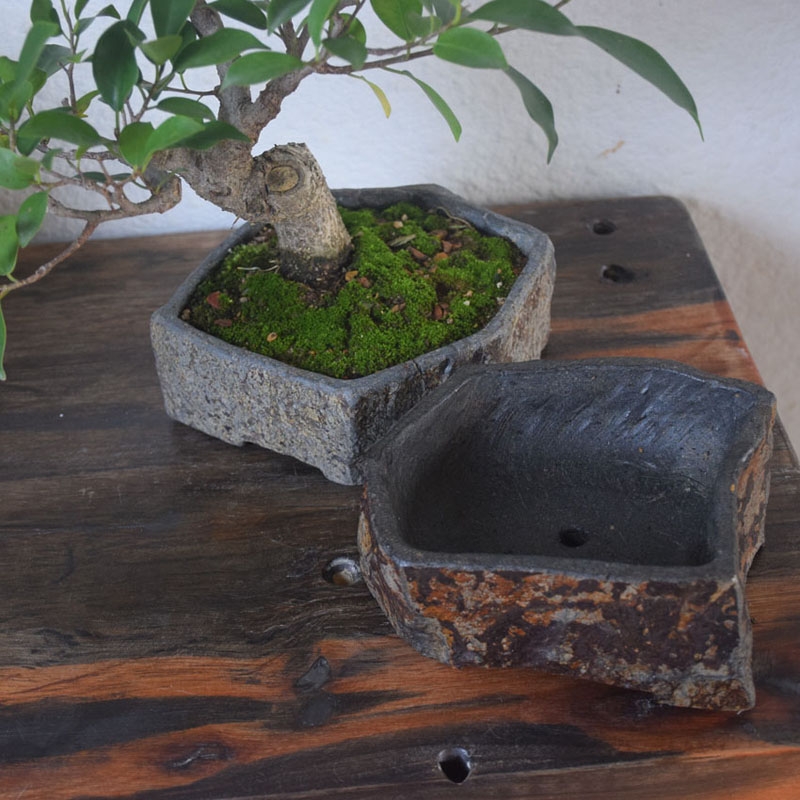 Basalt Natural Stone Flower Po - Desk Setup Plant ulasan dan harga
