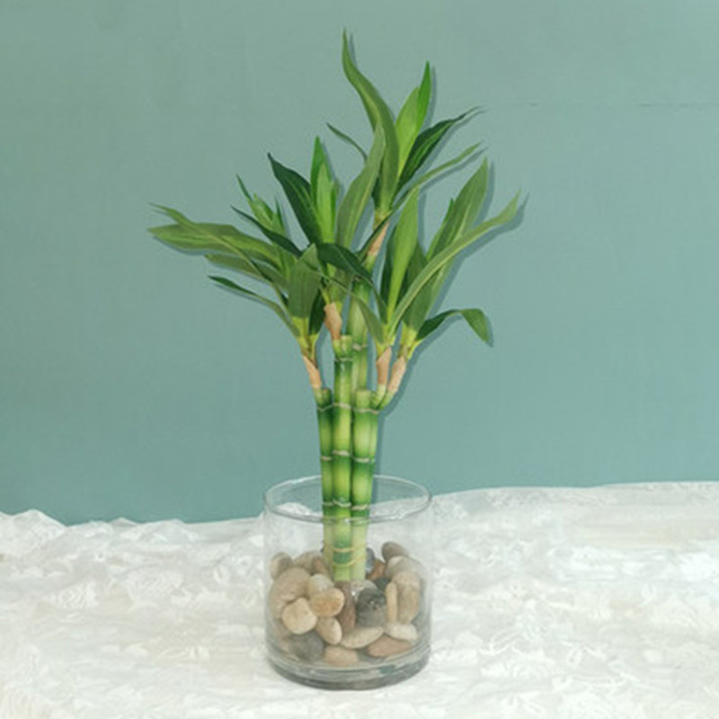 New 40cm rFtificial Lucky Bamb - Desk Setup Plant ulasan dan harga