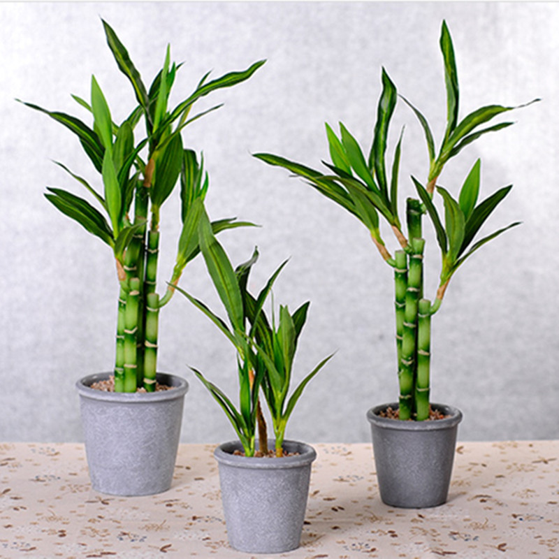 New 40cm rFtificial Lucky Bamb - Desk Setup Plant ulasan dan harga