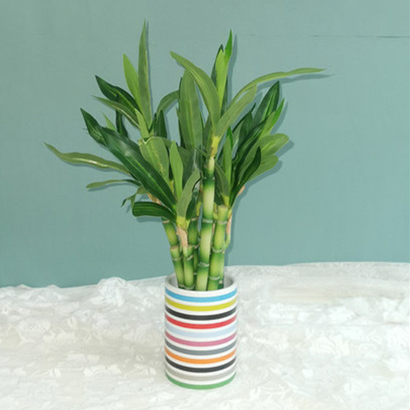 New 40cm rFtificial Lucky Bamb - Desk Setup Plant ulasan dan harga