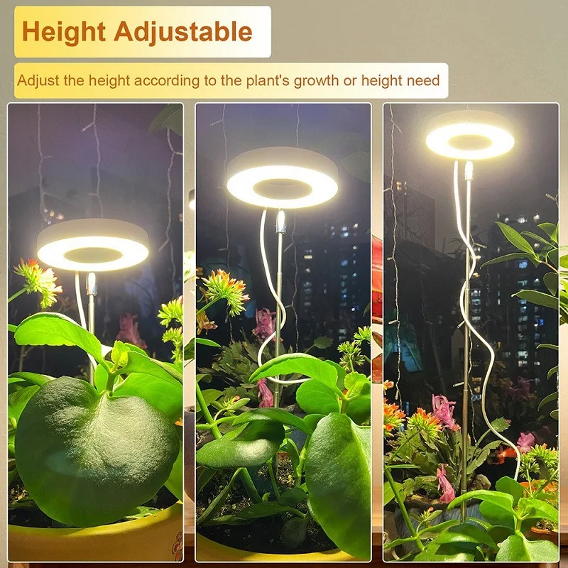 1/2/3 Rings Full Spectrum Plan - Desk Setup Plant ulasan dan harga