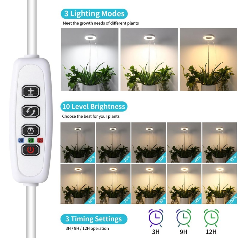 1/2/3 Rings Full Spectrum Plan - Desk Setup Plant ulasan dan harga
