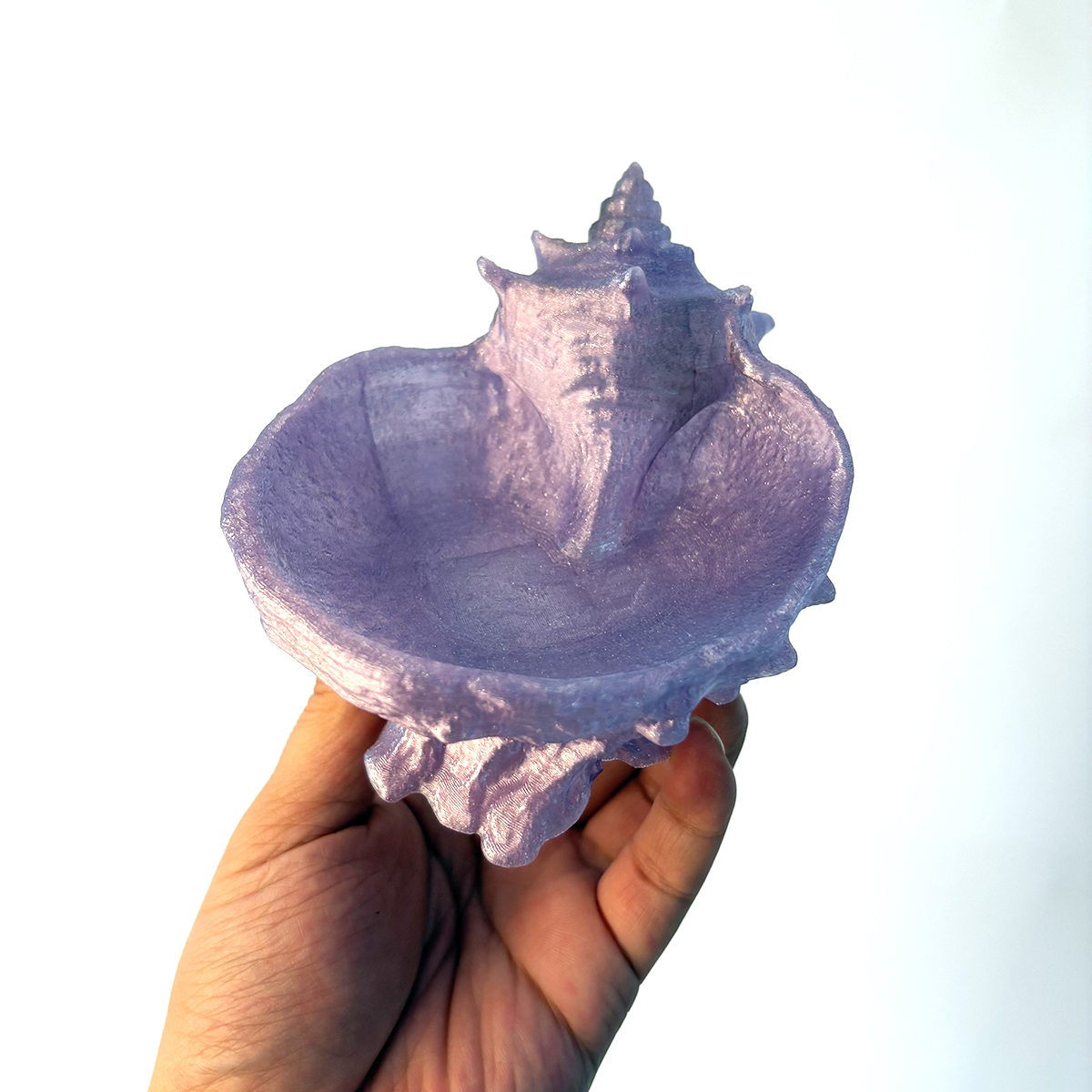 Pearlescent Purple Conch-Shape - Desk Setup Organizer ulasan dan harga